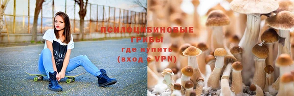 прущий лед Балахна